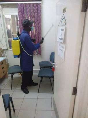 Pest Control and Fumigation Services Parklands image 5