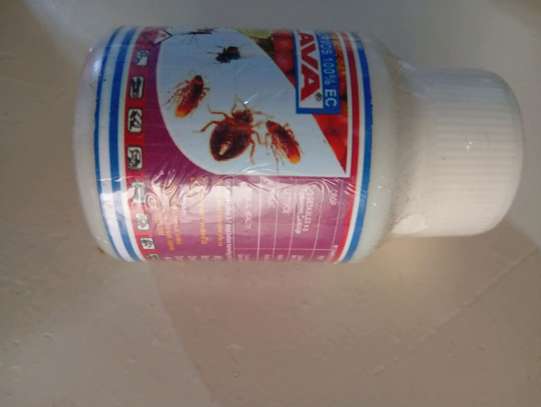 Lava lava insecticide image 2