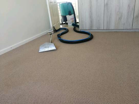 Carpet Cleaning Services.Lowest price guarantee.Free quote. image 5