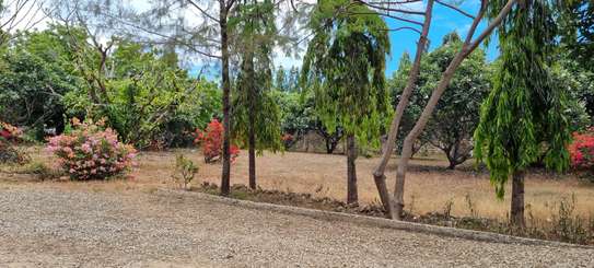 1.2 ac Commercial Land at Nyali image 17