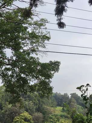 4 ac Land in Kitisuru image 3