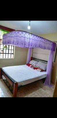 Mosquito nets for decent homes image 4