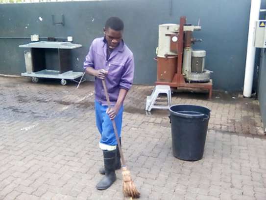 Caretakers, Chef/Cooks, Head Housekeepers, Housekeepers/Domestic Helpers/Maids,Cleaners & Gardener Services Nairobi. image 1