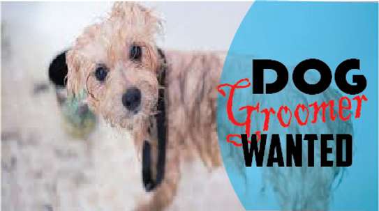 Dog training and behaviour specialists Karen Runda Nyari image 13