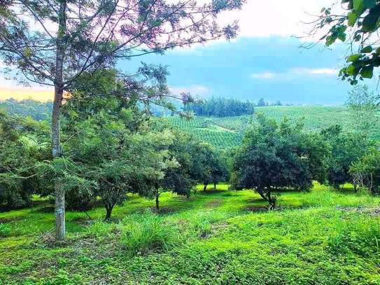 JUJA PLOTS FOR SALE image 1
