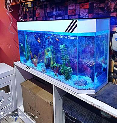 Aquariums with Package image 2
