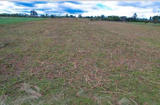 Prime plots located in Nakuru county Njoro area,. image 2