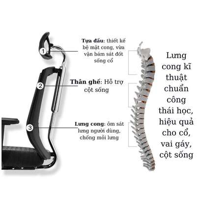 Office Chair: Orthopedic High Back Executive Luxury Chair image 4