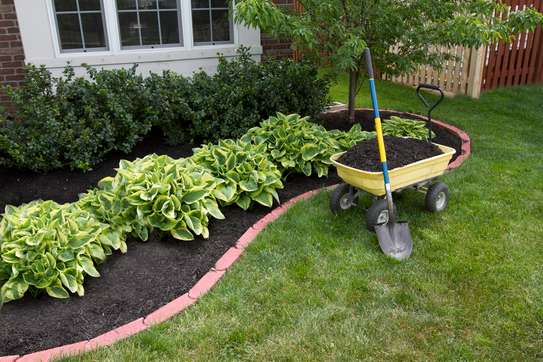 Gardening Maintenance Services - Book a Gardener In Minutes image 1