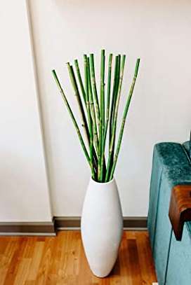 Bamboo Decorative Sticks for Decor/Craft/DIY image 3