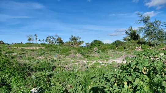 4.5 ac Land at Paparemo image 6