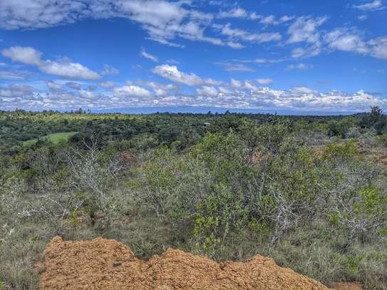 10 ac Land in Nanyuki image 6