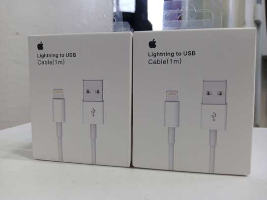 USB Cable with Lightning Connector – Apple image 1
