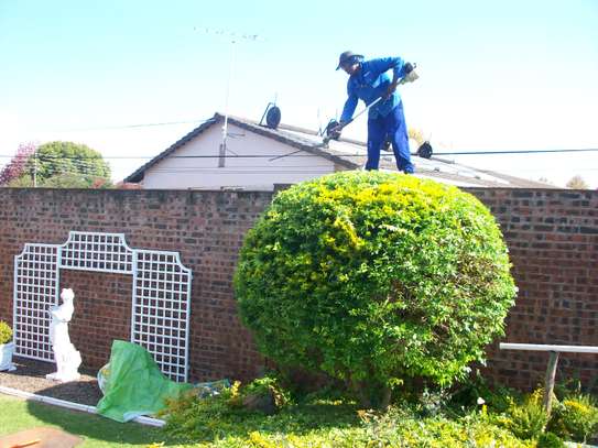 Landscaping & gardening services in Nairobi | Give us a call today. image 4