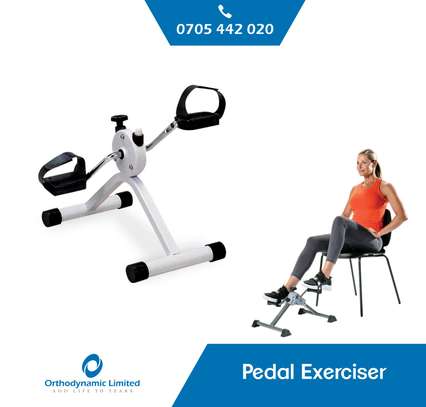 Pedal Exerciser image 1