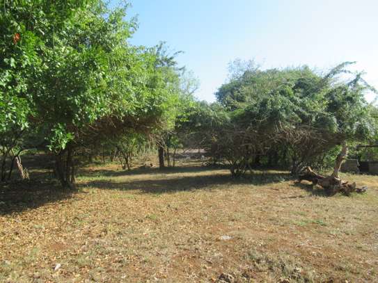 1-Acre Plots For Sale in Diani image 4