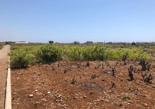 Land in Vipingo image 4
