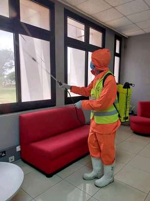 Bed bug Control & Fumigation Services in Donholm image 1