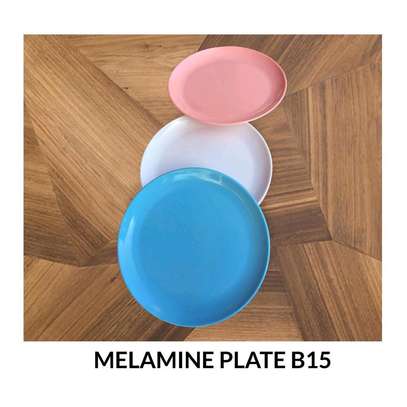 12pc Melamine plates/Melamine dinner plates/Round plates image 1