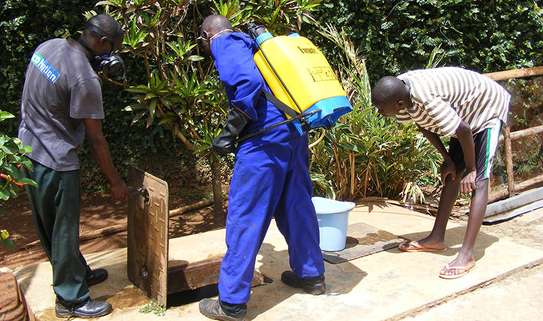 Bed Bugs Pest Control Services in Ruiru,Karuri,Kikuyu,Ruaka image 7