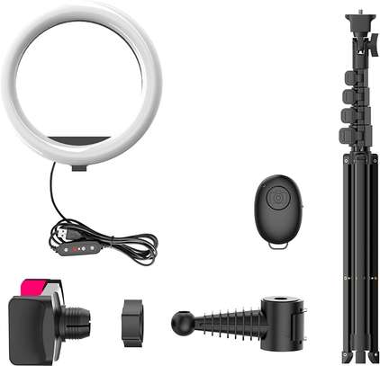 Selfie Ring Light with 50" Extendable  Phone Holder image 1