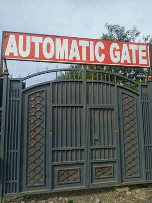 ELECTRIC GATES / AUTOMATIC GATES image 1