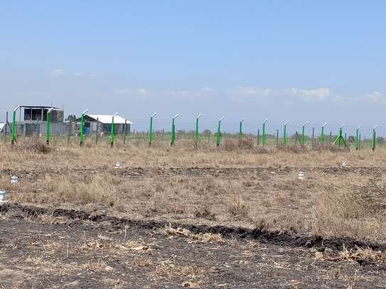 Ruiru Kamakis - Mwalimu Farm image 3