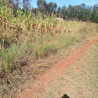 ½ ACRE LAND AT KENOL TOWN IN MURANGA COUNTY image 8