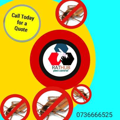 Pest control and fumigation services image 1