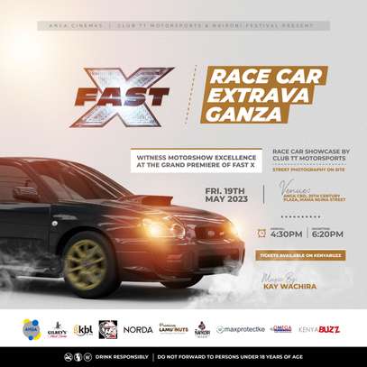 Fast X Race Car  Extravaganza image 1