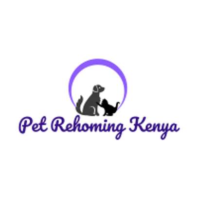 Pet Rehoming Kenya image 1
