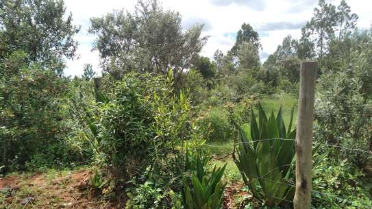 Ideally Located 1/4 Acre Plots With Forest Mt Kenya View image 3