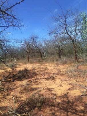 64 acres along Makindu-Wote Road Makueni County image 13