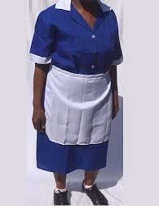 Best House Help Agency in Kitisuru,Gigiri,Ridgeways,Nyari image 1