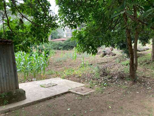 0.5 ac Land at Olerai image 4