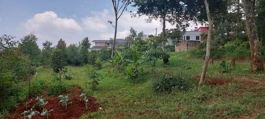 0.087 ha Residential Land at Kerarapon Drive image 3