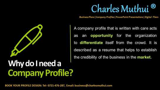 Professional Company Profile Services image 2