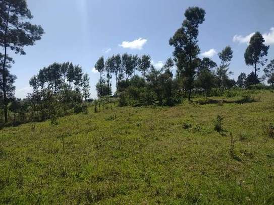 5 ac Land in Kitisuru image 8
