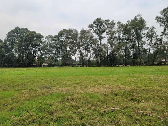 0.5 ac Land at Garden Estate Rd image 1