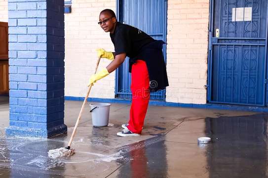 Housekeeping Services - Cleaning, Laundry, Preparing Meals |  Gardening Services | Mattress Cleaning | Window Cleaning | Domestic Workers | Professional House Cleaners & Nannies.Call now     image 1