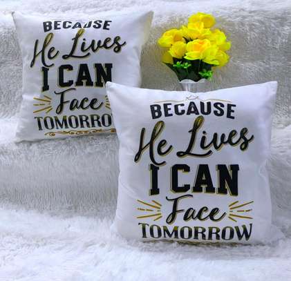 THROW PILLOW COVERS image 1