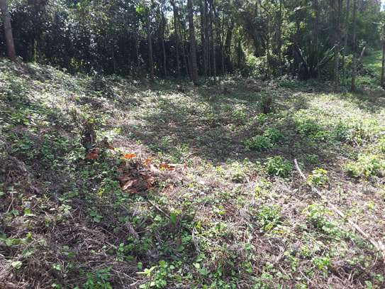 Lovely Quarter ( 1 / 4 ) Acre Land in Ngong image 10