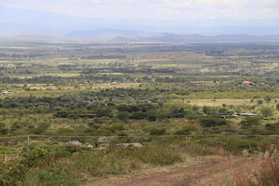 1/4 Acre Land For sale in Nakuru, Miti Mingi image 2