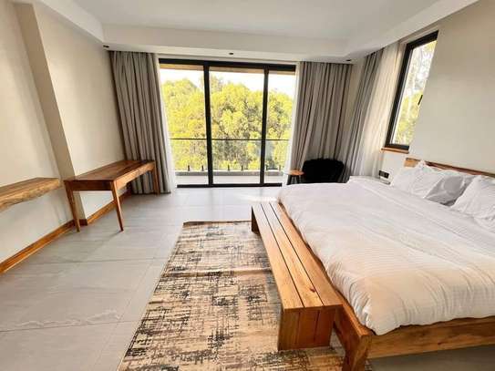 3 Bed Apartment with En Suite at Peponi image 35