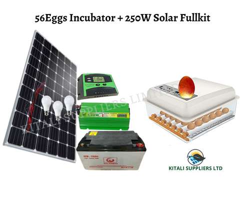 56 Eggs Incubator + 250w Solar Fullkit image 1