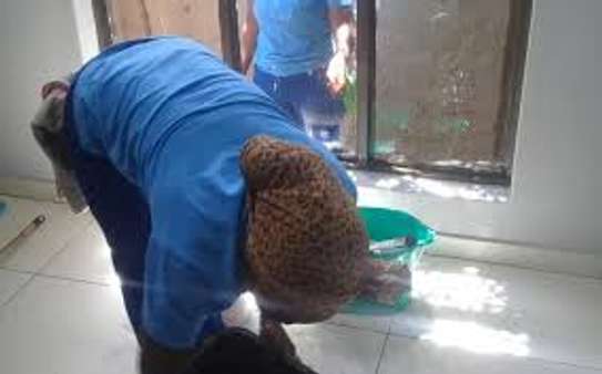 CLEANING SERVICES,FUMIGATION & PEST CONTROL KINOO image 14