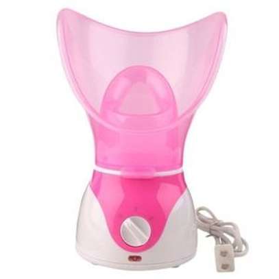 Professional Facial Steamer With Nose Mask image 1