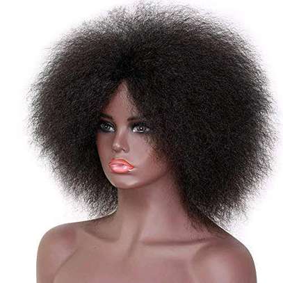 Miss Rolla wig image 1