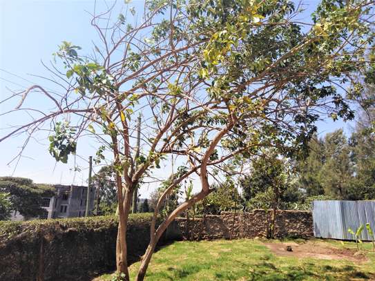4 Bed Townhouse with Garden in Ngong image 15