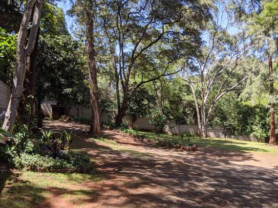 Residential Land at Peponi Rd image 9